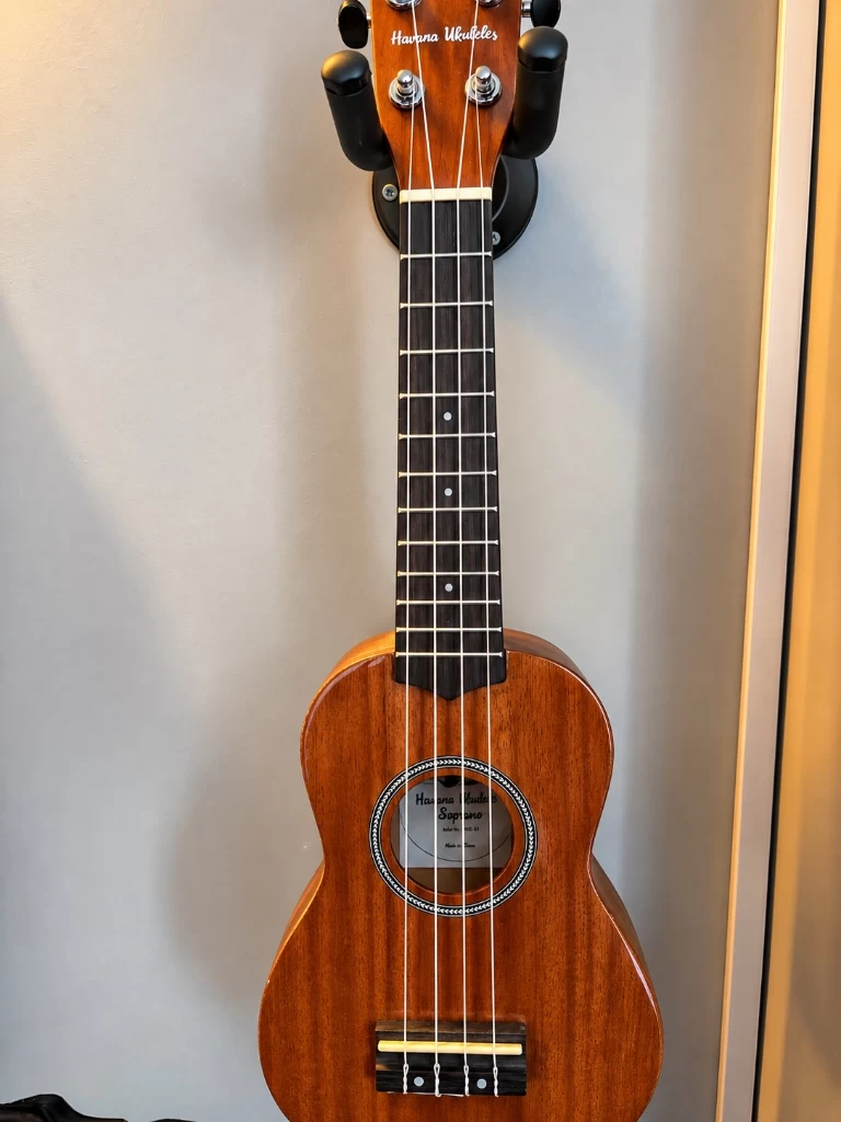 Fırat Cantekin Müzik Kursu Havana Ukulele Eğitimi Köşesi